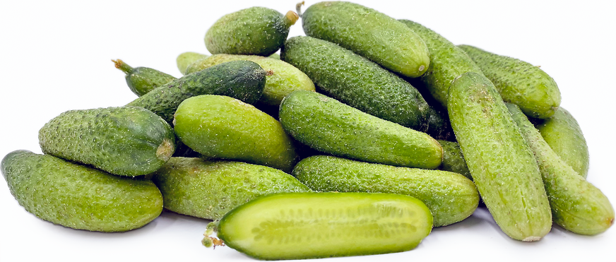 Gherkin Cucumbers picture