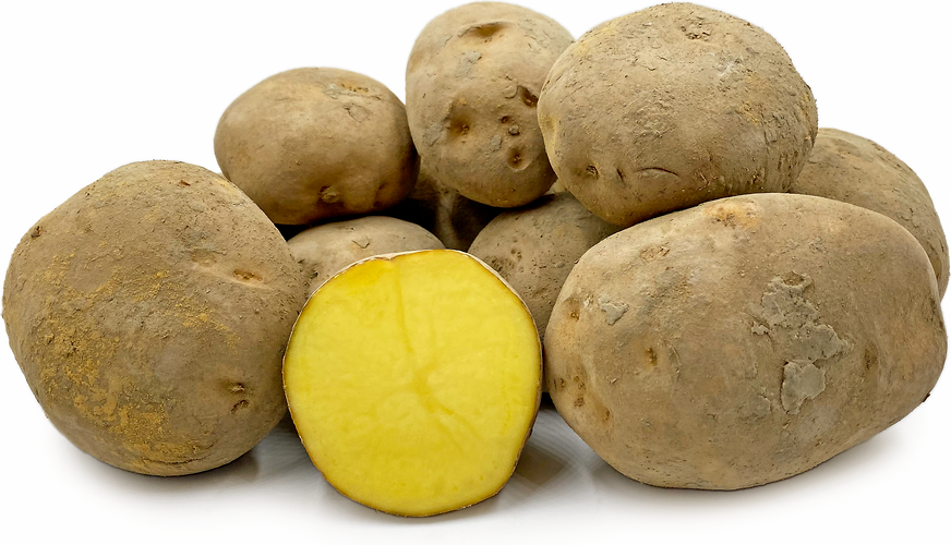 Frieslander Potatoes picture