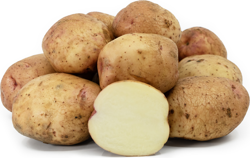 Kerrs Pink Potatoes picture