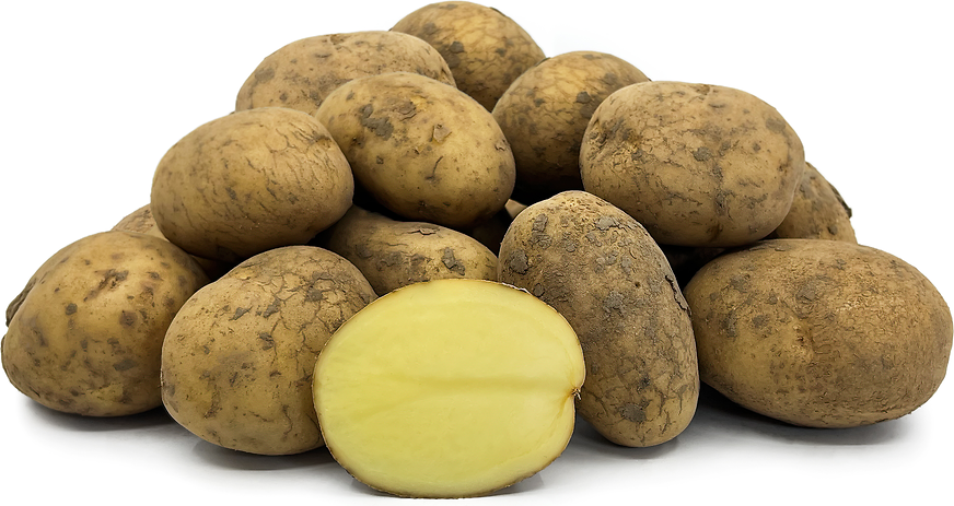 Wilja Potatoes picture
