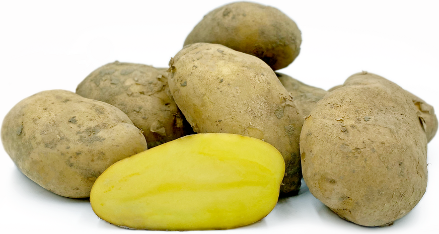 Sieglinde Potatoes picture