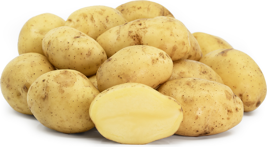 Nicola Potatoes picture