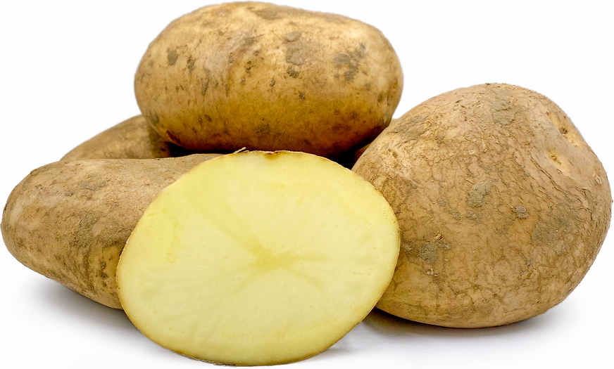 Estima Potatoes picture