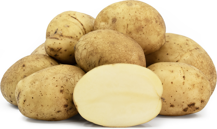 Estima Potatoes picture