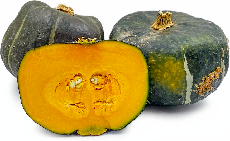 Bonbon Squash picture