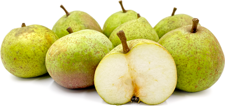 Brederode Pears picture