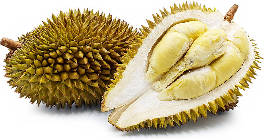 Petruk Durian picture