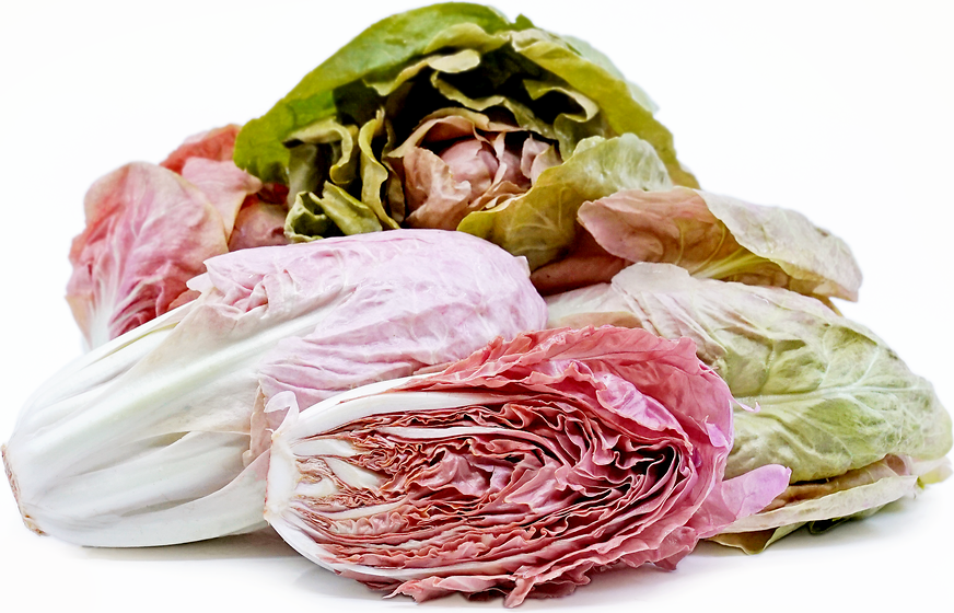 Rosalba Radicchio picture