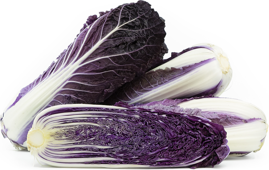 Red Dragon Napa Cabbage picture