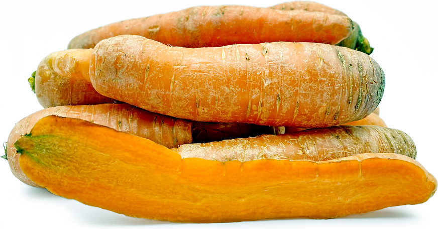 Bolero Carrots picture