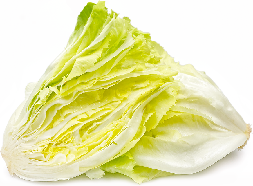 Bleached Escarole picture