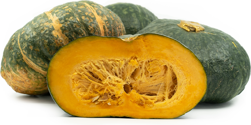 Delica Winter Squash picture