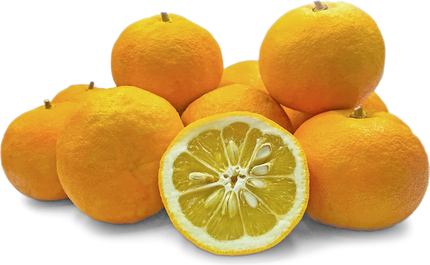 Italian Sour Oranges picture