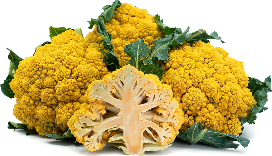 Yellow Romanesco picture