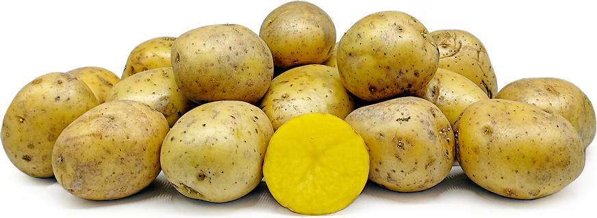 Nevsky Potatoes picture
