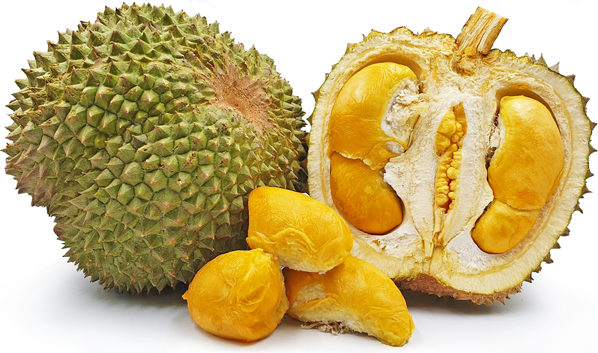 Black Thorn Durian picture