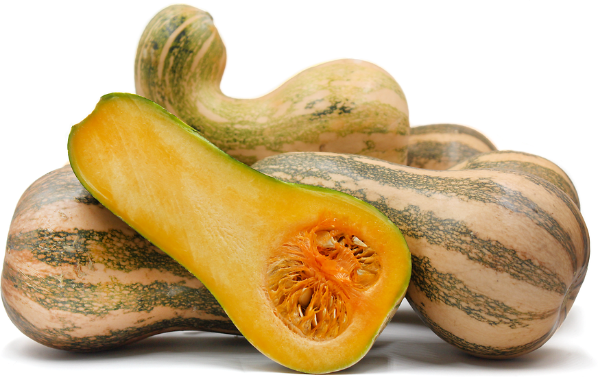 Ahuyamin Squash picture