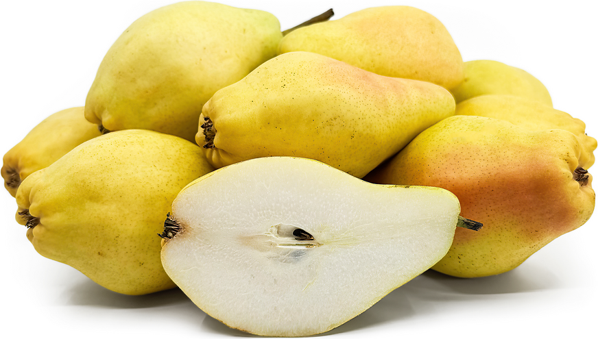 Santa Maria Pears picture