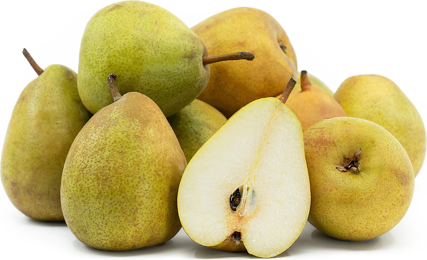 French Butter Pears picture