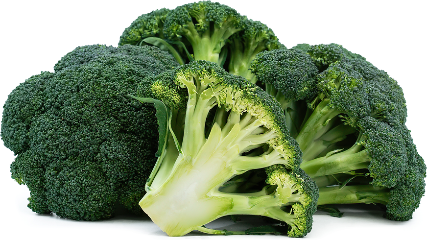 Broccoli picture