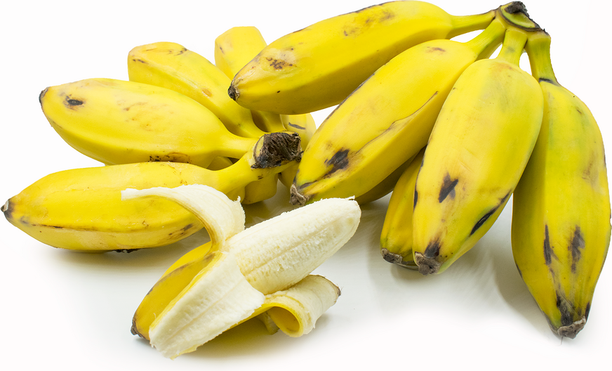 Burro Bananas picture
