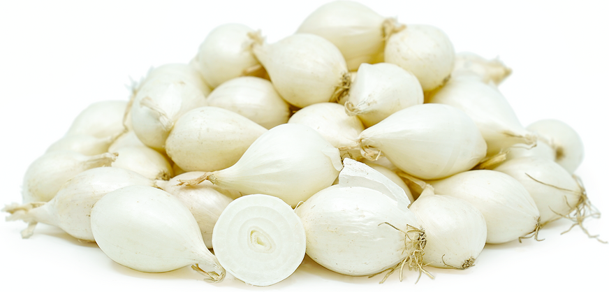 White Pearl Onions picture