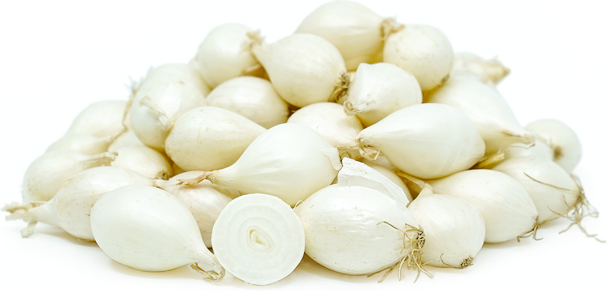 White Pearl Onions Information, Recipes and Facts