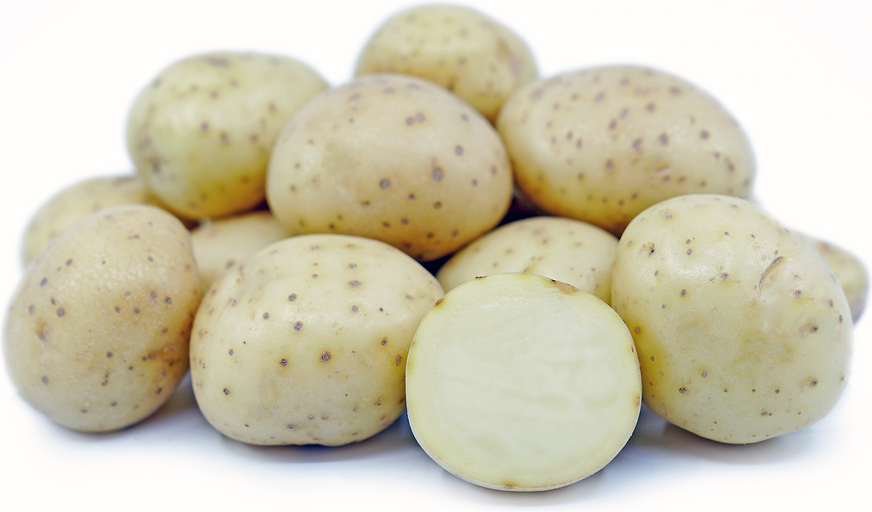 White Potatoes 