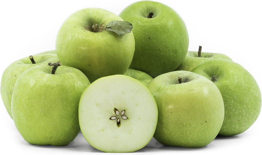 Green Apple, Granny Smith Golden Bay Fruit Orchards, NZ