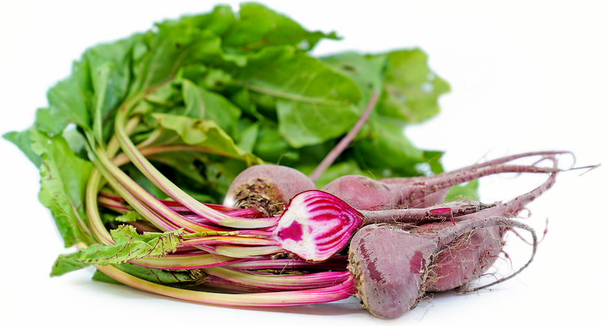 Baby Chioggia Beets picture