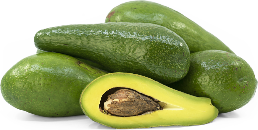 Long Neck Avocados picture