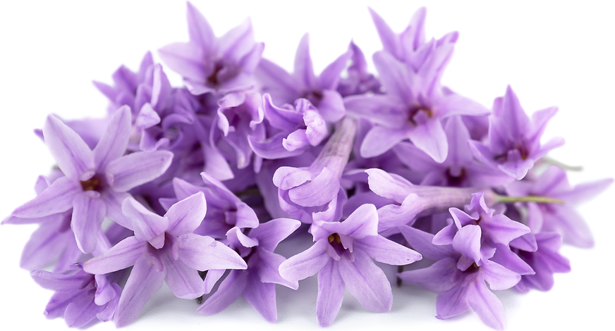 Garlic Flowers picture