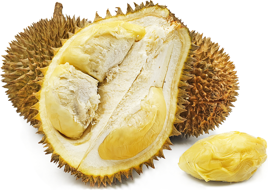 Mentega Durian picture