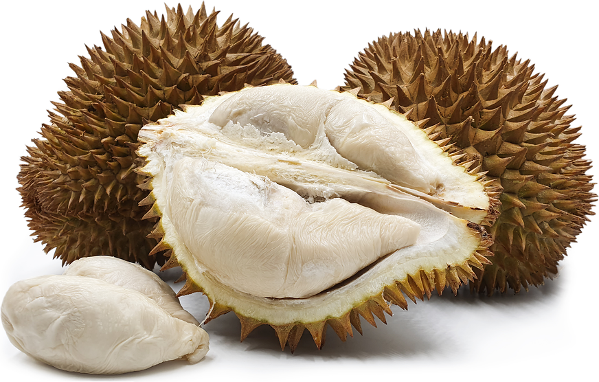 Putih Durian picture