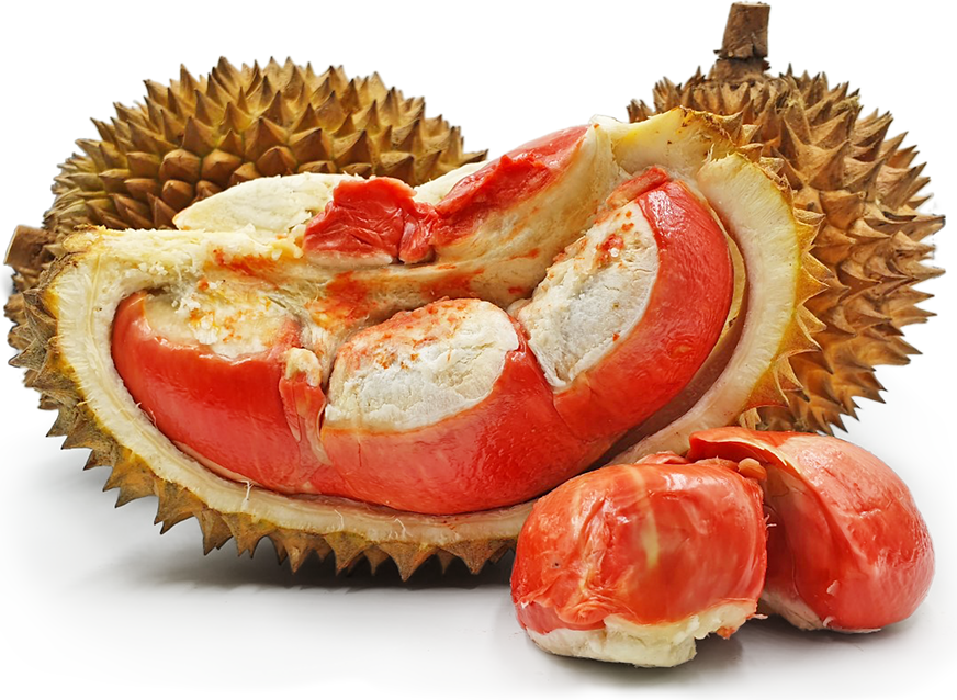 Red Banyuwangi Durian picture