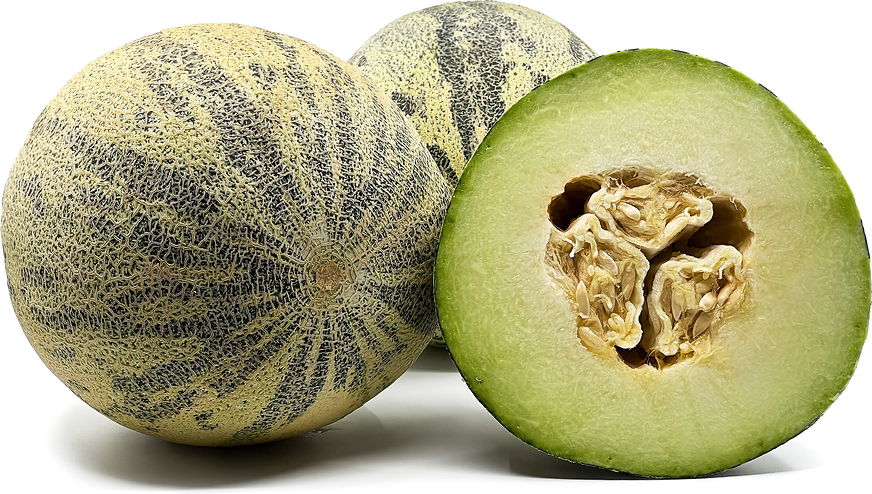 Gurbek Melons picture