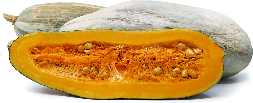 Guatemalan Blue Squash picture