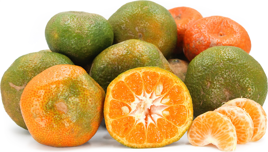 Arrayana Tangerines picture