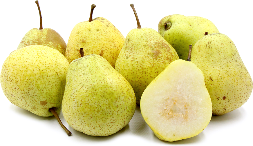 Kieffer Pears picture