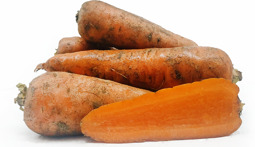 Karotel Carrots picture
