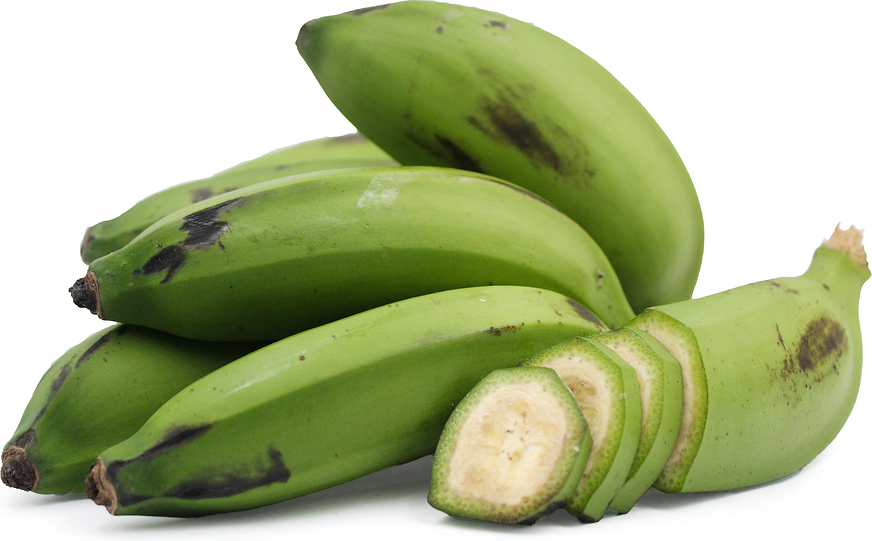 Guineo Bananas picture