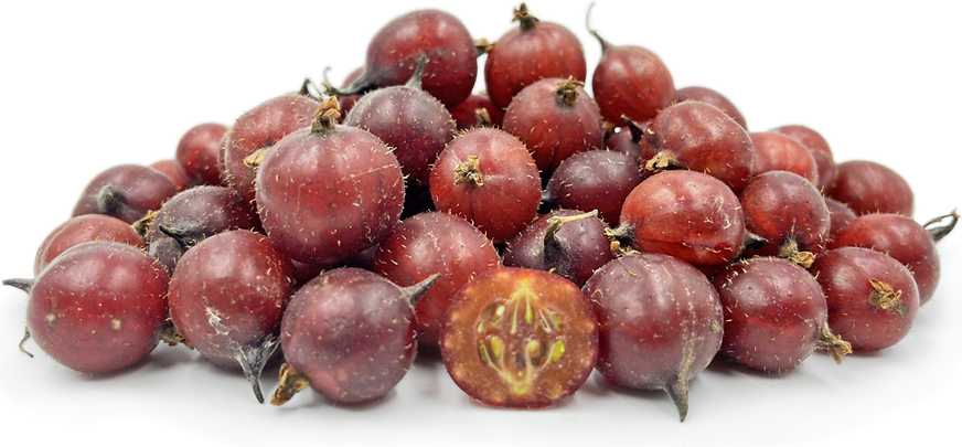 Pink Thornless Gooseberries picture