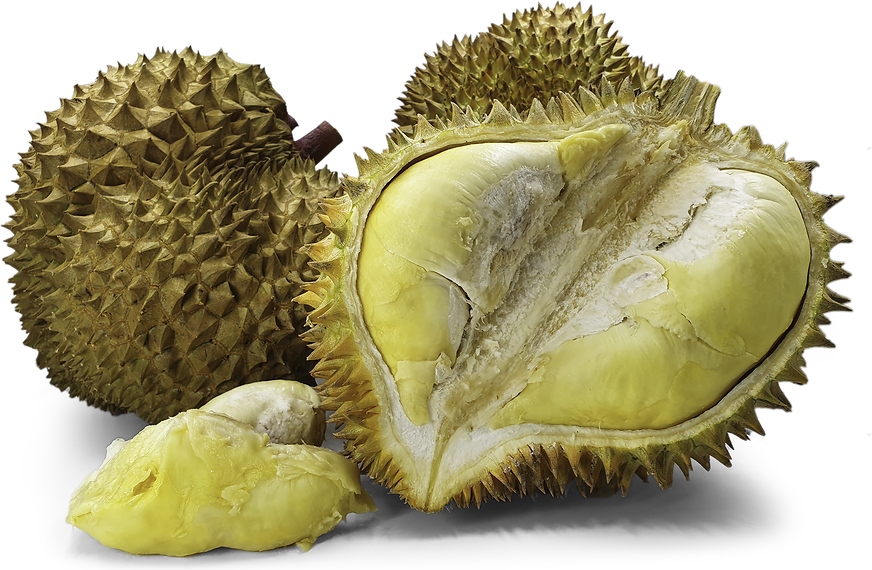 Bawor Durian picture