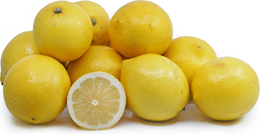 Lisbon Lemons picture