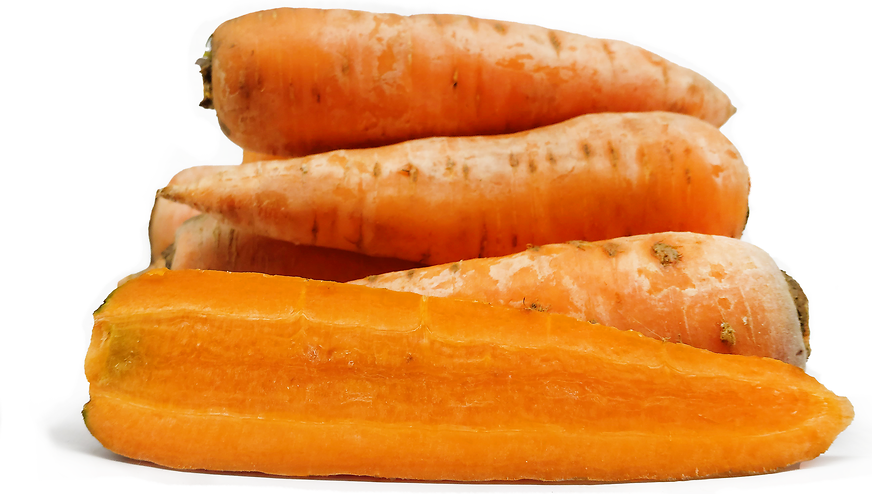 Abaco Carrots picture