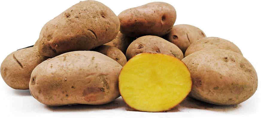 Rosara Potatoes picture