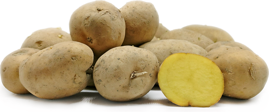 Sante Potatoes picture