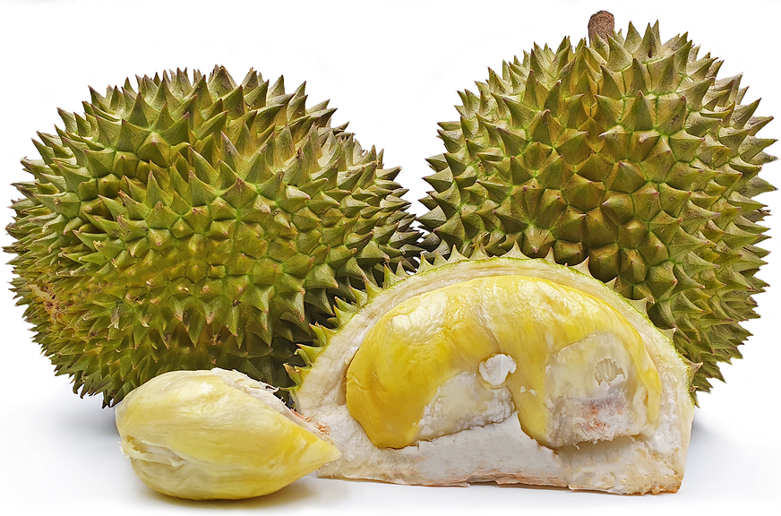 Matahari Durian picture