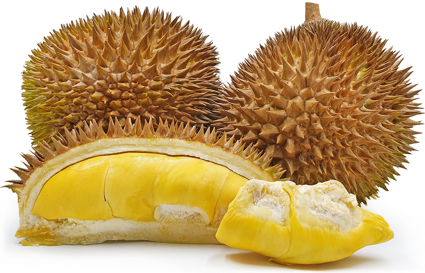 Masmur Durian picture