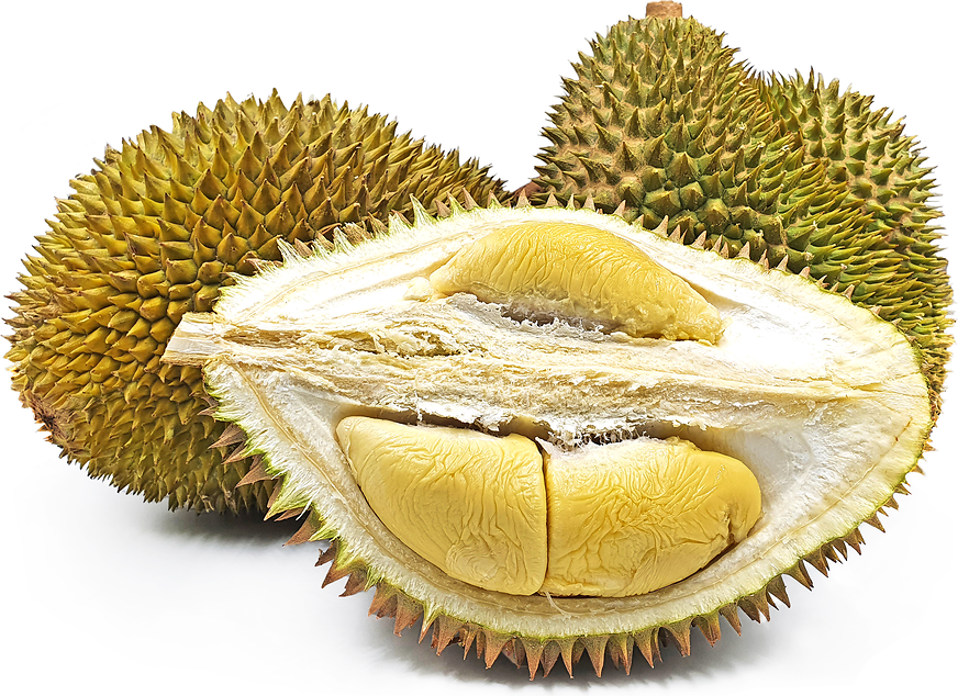 Sultan Durian picture